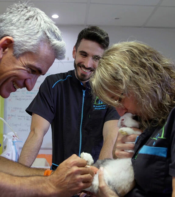 MC-Clinique Clinique vétérinaire du Micocoulier au Muy