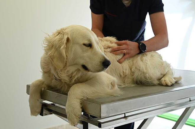 MC-Dermatologie Dermatologie