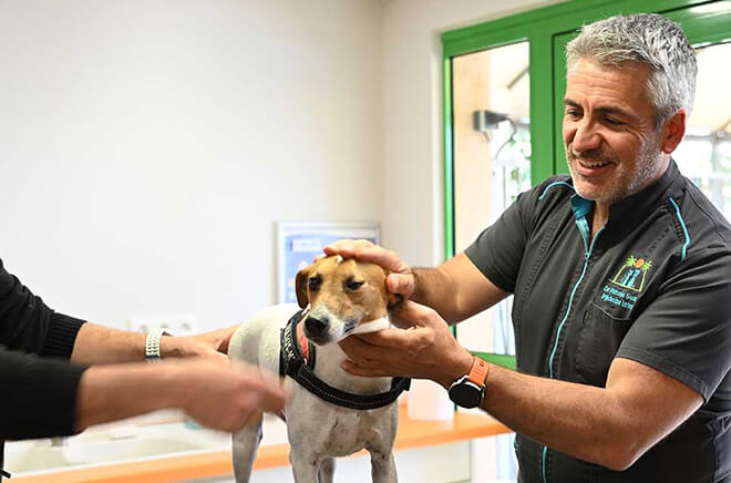 MC-Medecine-generale Services, Médecine interne et générale