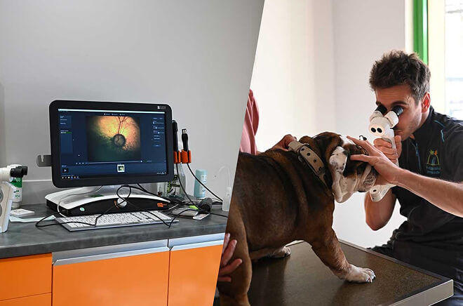 MC-Ophtalmologie Ophtalmologie