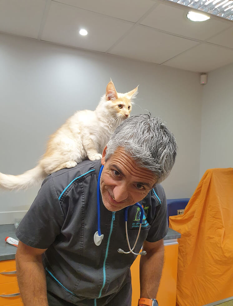 MC-Vet-1 Vets in Muy