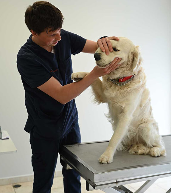 MC-Vet-2 Micocoulier Clinic