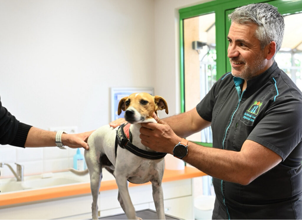 Services de médecine interne